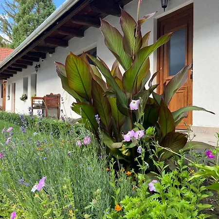 아파트 Sziget Vendeghaz Parád